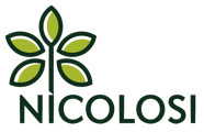 logo nicolosi