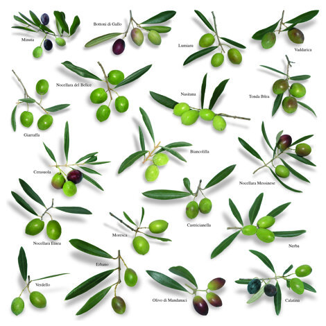 11%20cale%20nov%202016.jpeg 11%20cale%20nov%202016.jpeg