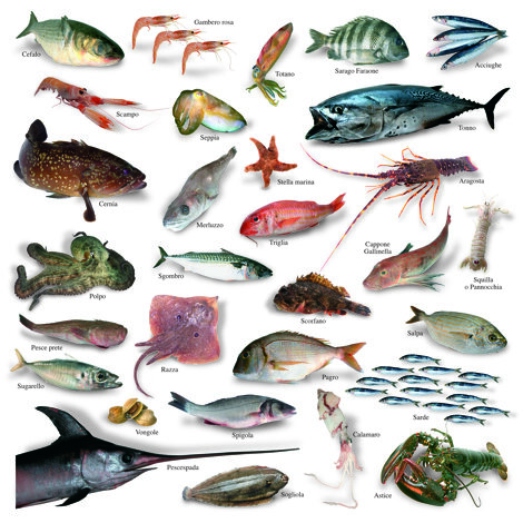 09%20cale%20set%202016.jpeg 09%20cale%20set%202016.jpeg