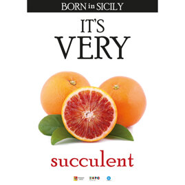 its very arance.jpeg its very arance.jpeg