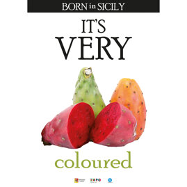 its very ficodindia.jpeg its very ficodindia.jpeg