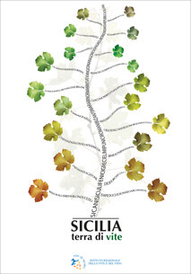 visu terra di vite 25.jpeg visu terra di vite 25.jpeg