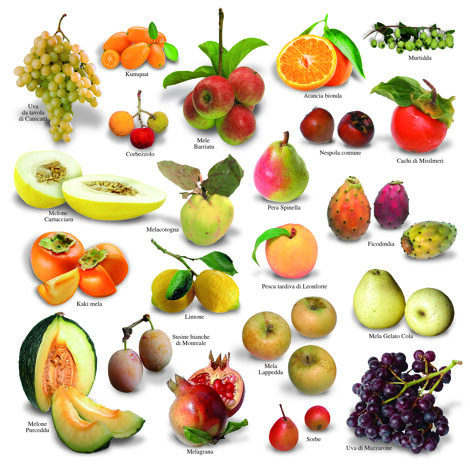 12%20cale%20dic%202016.jpeg 12%20cale%20dic%202016.jpeg