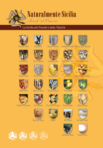 edi presidi slow.jpeg