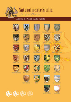 edi presidi slow.jpeg