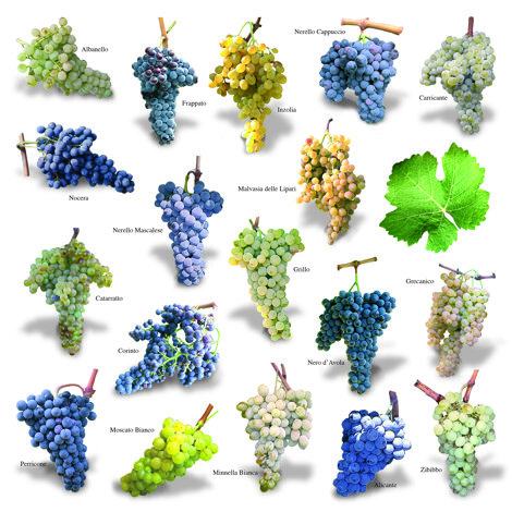 10%20cale%20ott%202016.jpeg 10%20cale%20ott%202016.jpeg