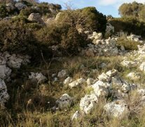 0f0daf89256a06c0392968db2788c4288df28afd 0f0daf89256a06c0392968db2788c4288df28afd