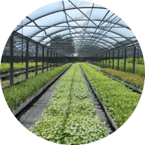 24dcad519736989471b4aeb683215463f95e4954 24dcad519736989471b4aeb683215463f95e4954