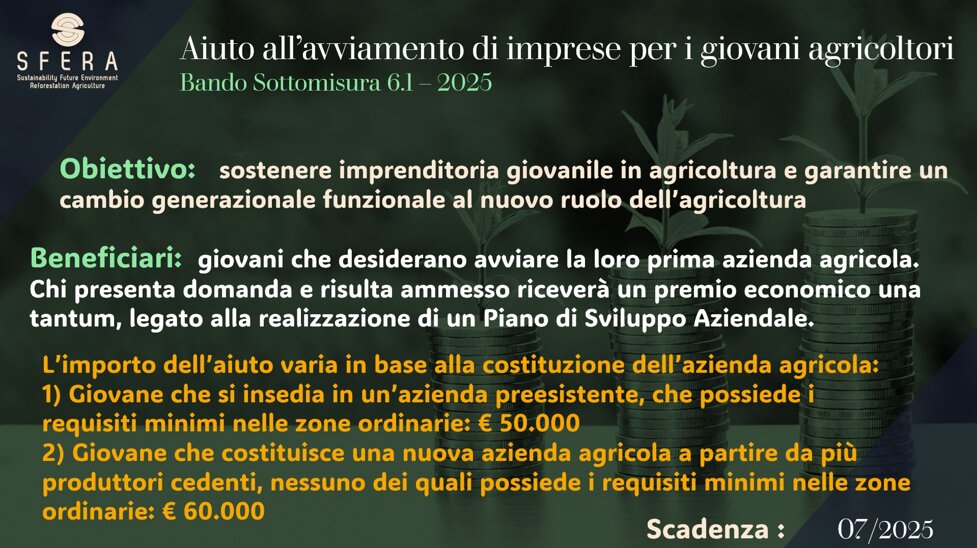 finanziamento giugno 25.jpeg