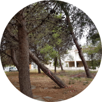 6fa80252fa12b1c0ce7656d99cc255de7e9427cd 6fa80252fa12b1c0ce7656d99cc255de7e9427cd