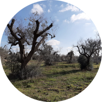 e0eb638829c37a272a040684dc7f549632b9cec4 e0eb638829c37a272a040684dc7f549632b9cec4