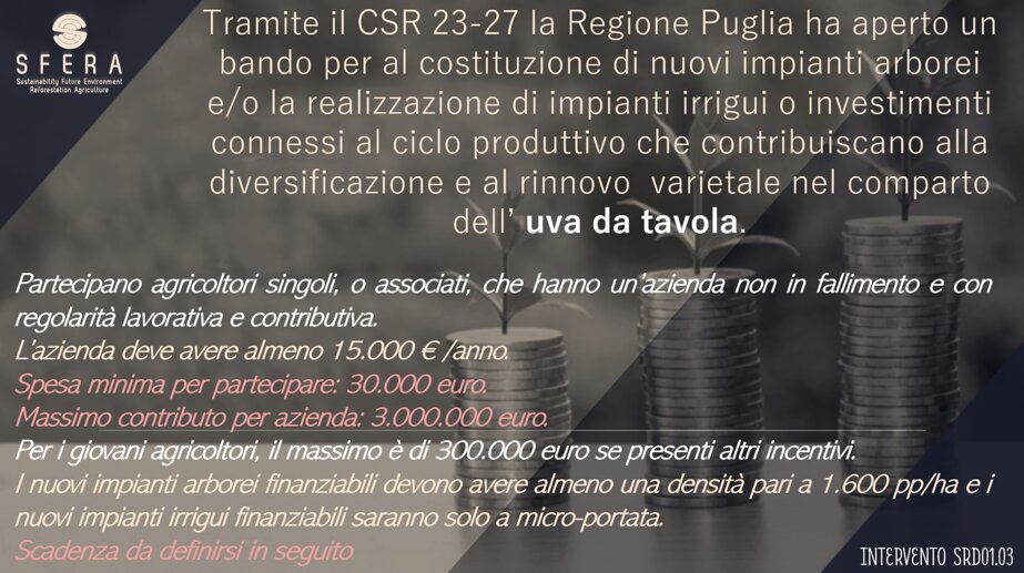 ea0e95ec3365237c0dc14c174a7950cbf6732be9