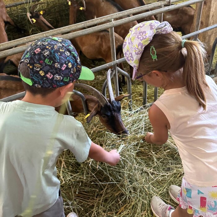 527453835_18418117864110173_7085071072883826961_n.jpeg 527453835_18418117864110173_7085071072883826961_n.jpeg