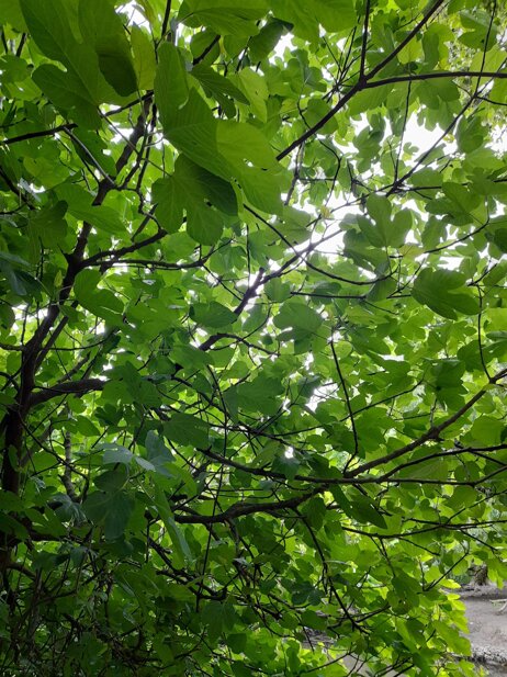 92092344ba96b9d3cacef8132bf54005b4af90ea