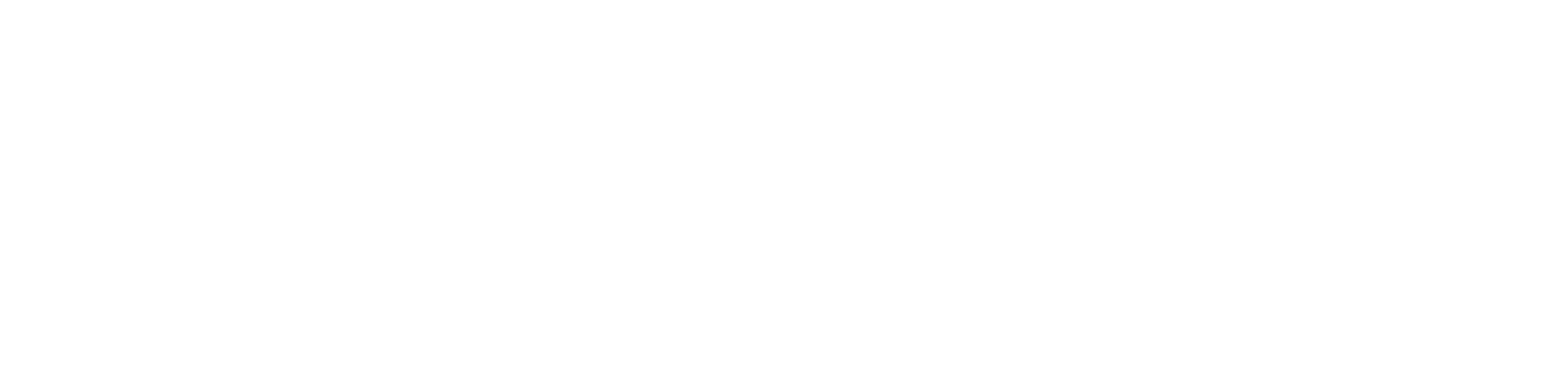 vtg logo satin giusto