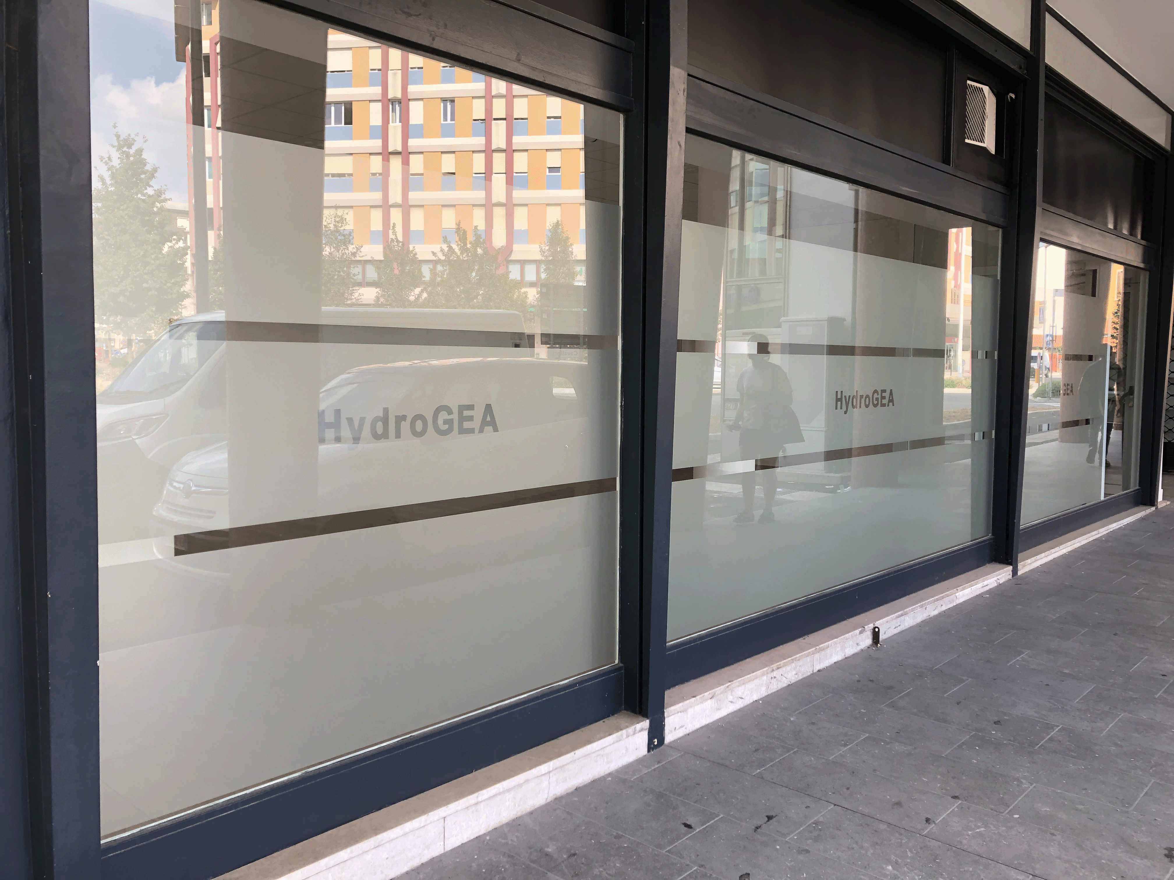 hydrogea