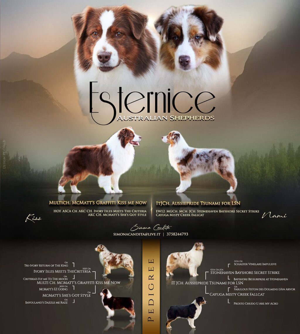 img-20230426-wa0009.jpeg img-20230426-wa0009.jpeg