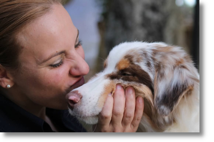 img-20250515-wa0015 img-20250515-wa0015