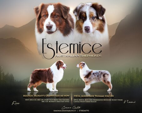 img-20230426-wa0010.jpeg img-20230426-wa0010.jpeg