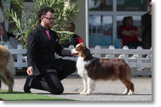 img-20250515-wa0012 img-20250515-wa0012