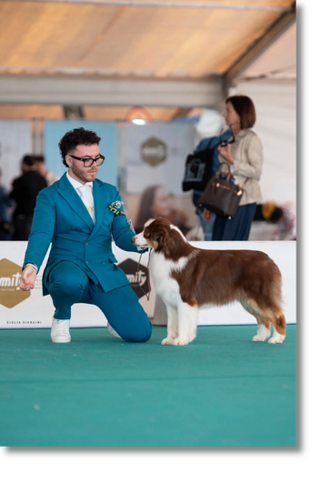 img-20250515-wa0018 img-20250515-wa0018