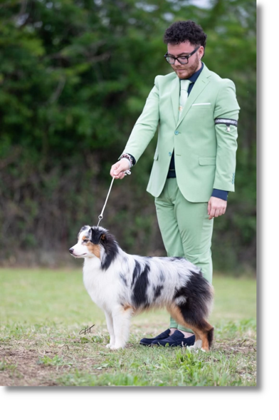 img-20250515-wa0013 img-20250515-wa0013