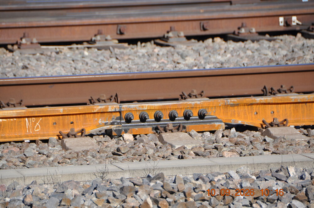 dsc_1303.jpeg