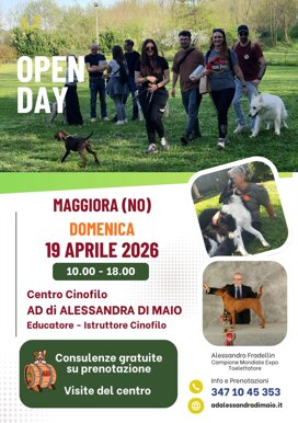 blue and yellow modern junior high school open house flyer a4 (1).jpeg