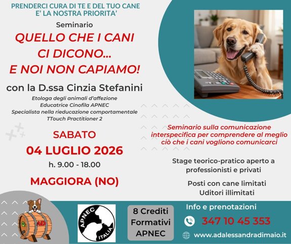 copia di copia di copia di neutral layout health consult facebook post.jpeg