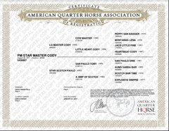 acquisizione a schermo intero 01102024 093230.bmp.jpeg