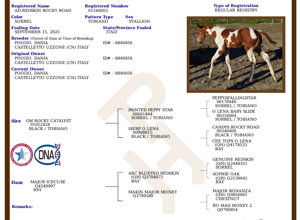 dsc_0114.jpeg dsc_0114.jpeg