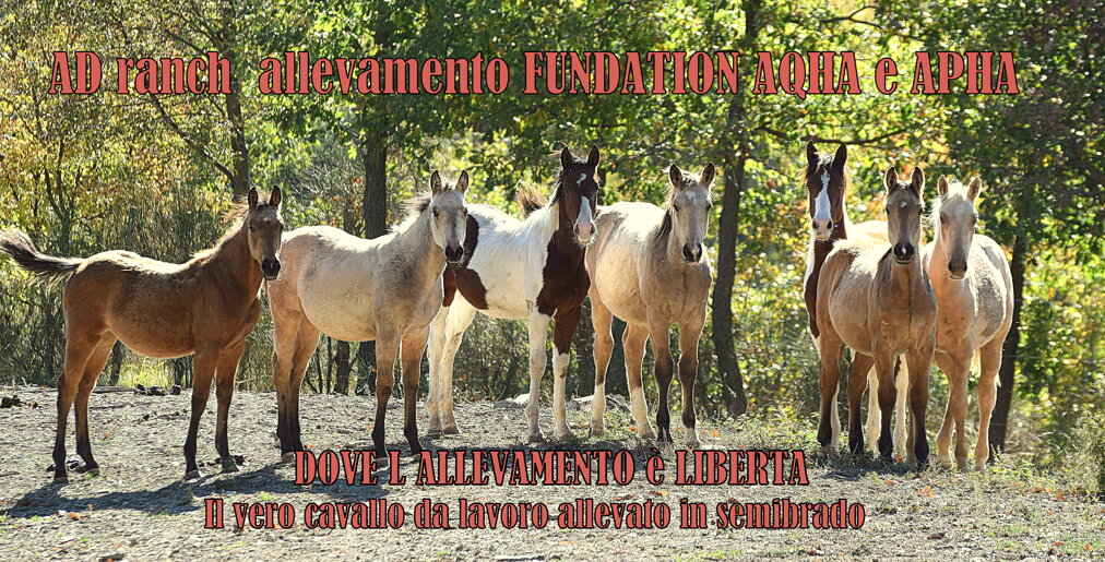 dsc_0116.jpeg dsc_0116.jpeg