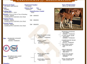 dsc_0132.jpeg dsc_0132.jpeg