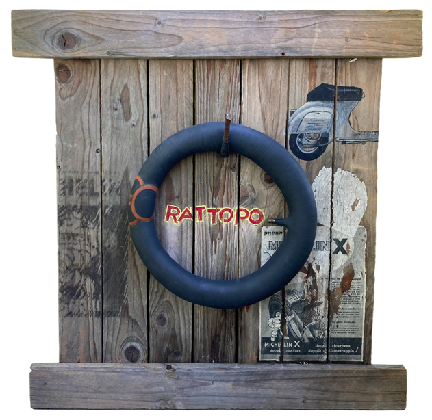 rat-topo