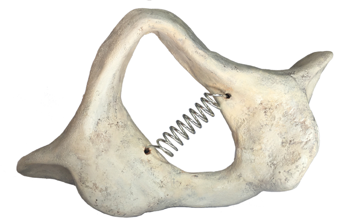 d369b3e74cf4863e5f21696ea3116160dd1cabeb