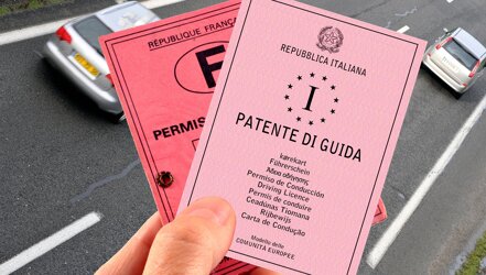 Rinnovo Patente Immediato