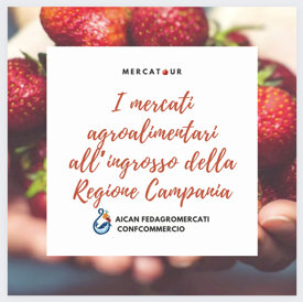 1365acb9afd2b9cb73f608f160dd72fb2724a83a.jpeg 1365acb9afd2b9cb73f608f160dd72fb2724a83a.jpeg