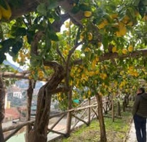 04d7fca688187b4c974c0157cc2b07e6d519b84c.jpeg 04d7fca688187b4c974c0157cc2b07e6d519b84c.jpeg