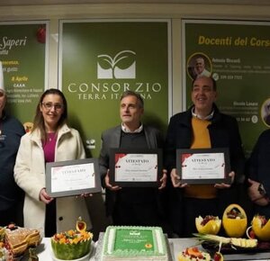 77d84f07716536b727ece06f719ae096bb96b68d.jpeg 77d84f07716536b727ece06f719ae096bb96b68d.jpeg