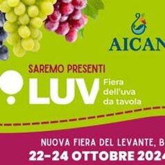 482032204_631945532921699_9109391141331592029_n.jpeg 482032204_631945532921699_9109391141331592029_n.jpeg