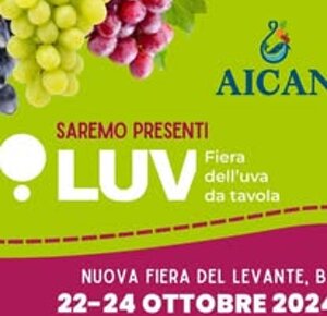 483065581_632616516187934_1012359841431303170_n.jpeg 483065581_632616516187934_1012359841431303170_n.jpeg