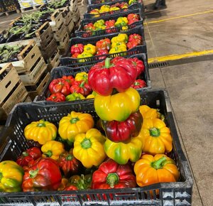 481898591_624251163691136_7954717815251760917_n.jpeg 481898591_624251163691136_7954717815251760917_n.jpeg