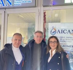 496968088_678240808292171_4173349643700989725_n.jpeg 496968088_678240808292171_4173349643700989725_n.jpeg