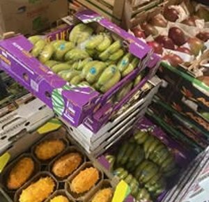 482031554_624256577023928_2091158084923848368_n.jpeg 482031554_624256577023928_2091158084923848368_n.jpeg