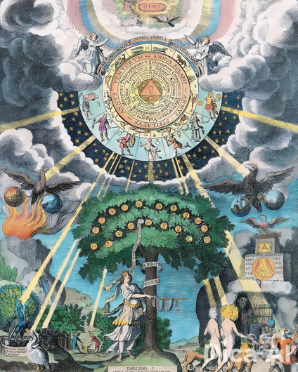 albero della vita-pica