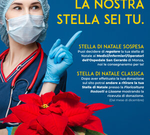 Campagna social per Associazione Luce e Vita, stelle di Natale 2020