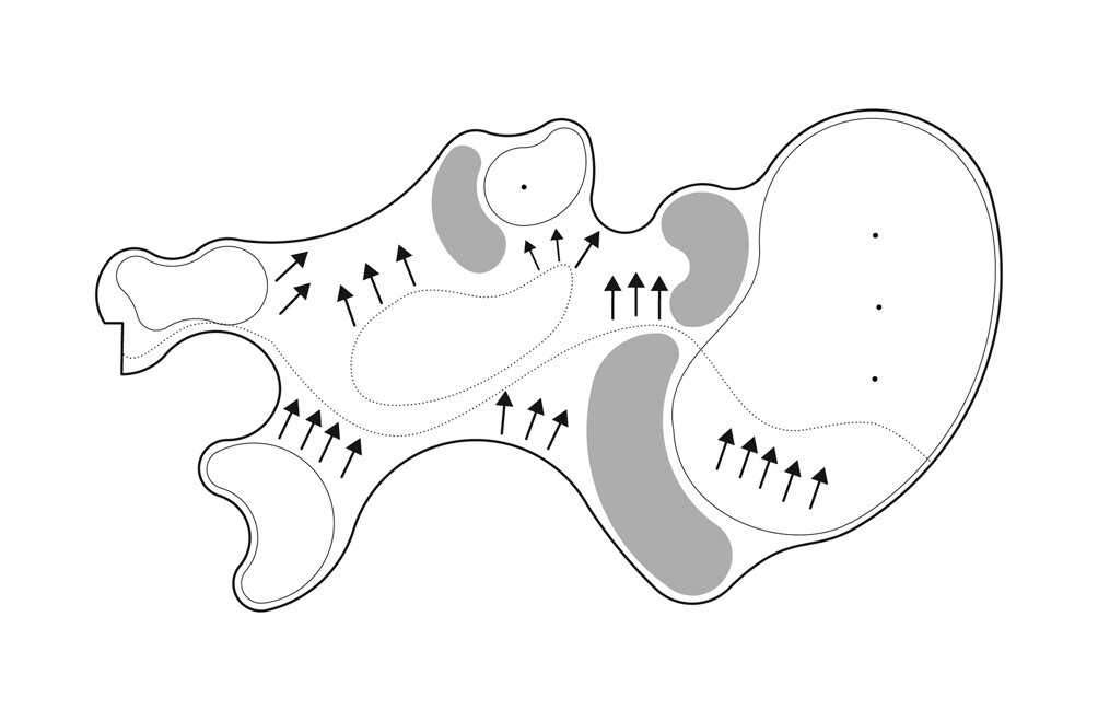 esecutivo golf_diagramma.jpeg