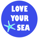 love your sea_ finale_blu