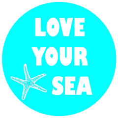 love your sea_ finale 