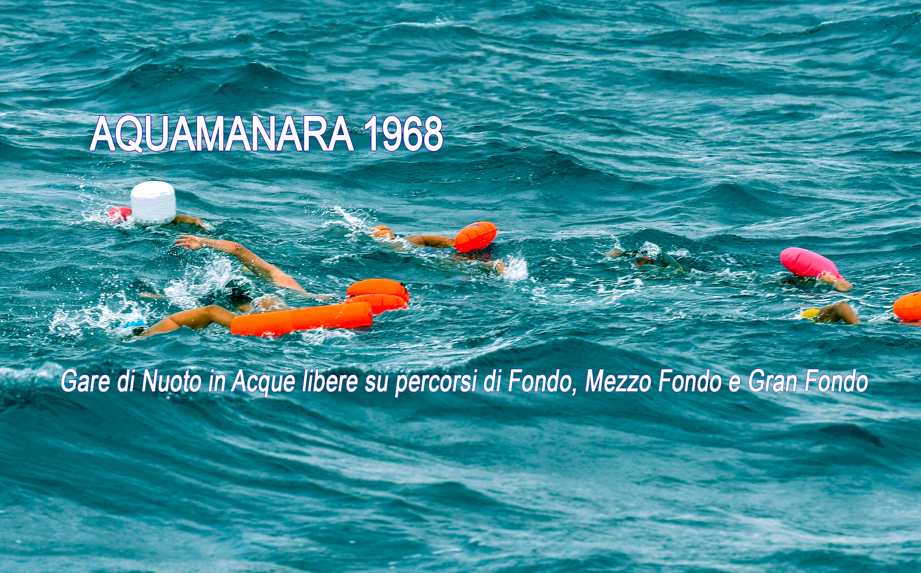 imm prima sito aqiamanara